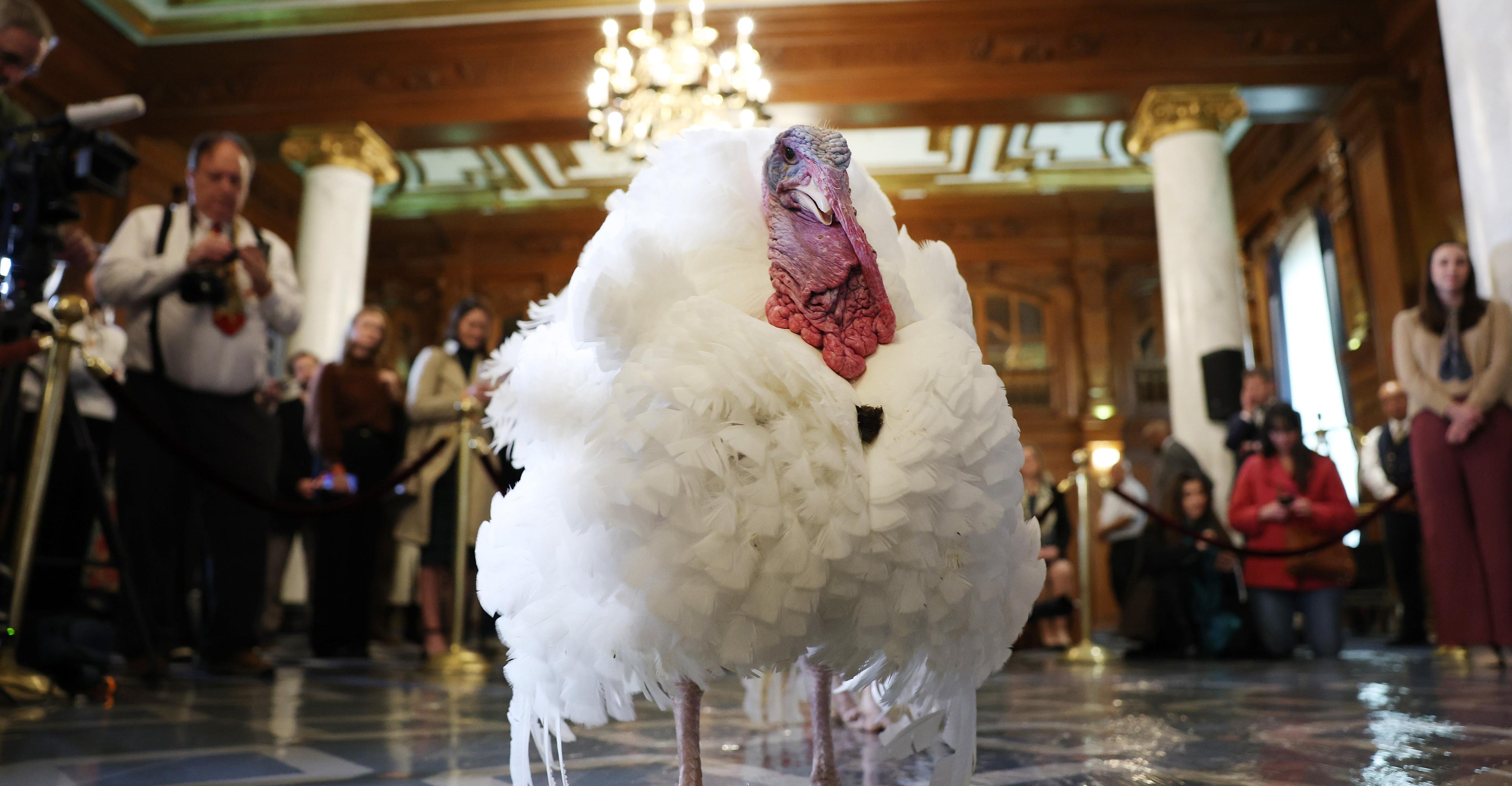 When did Thanksgiving turkey become such a big deal?