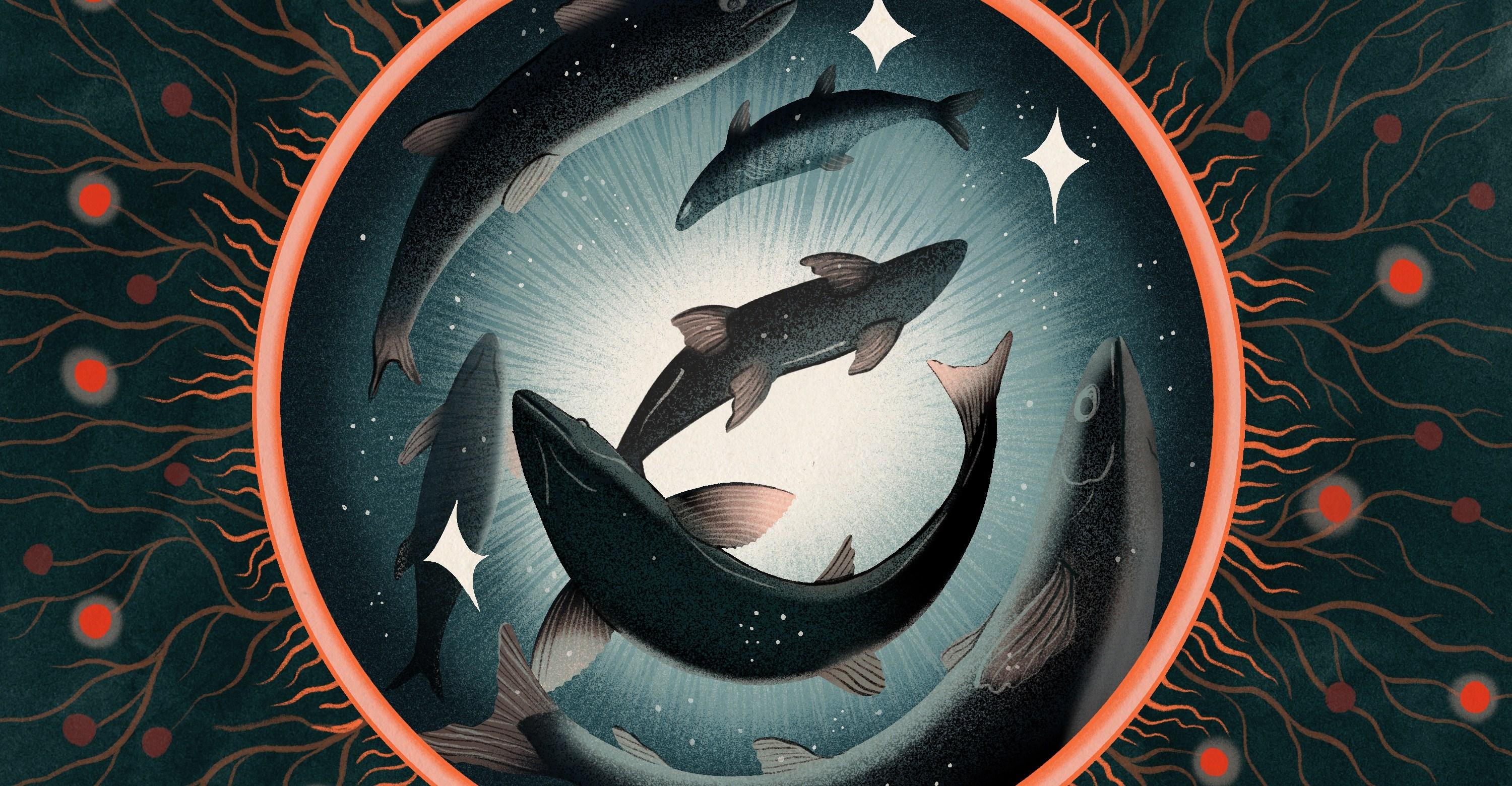 The surprisingly profound debate over whether fish feel pain