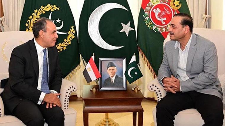 فیلڈ مارشل سید عاصم منیر سے مصری وزیر خارجہ کی ملاقات، دفاعی تعاون بڑھانے کا عزم