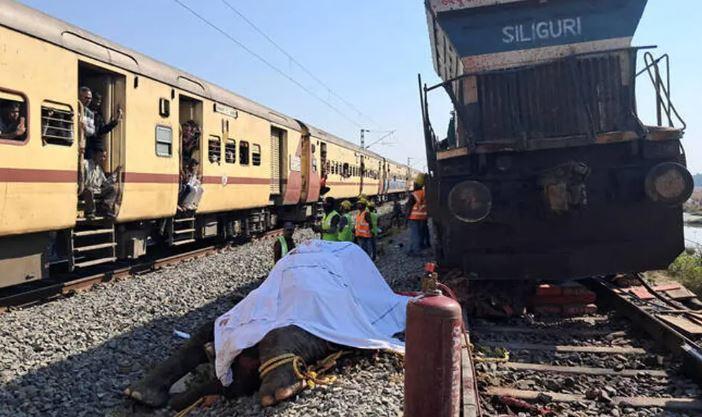 Seven elephants killed in India train accident