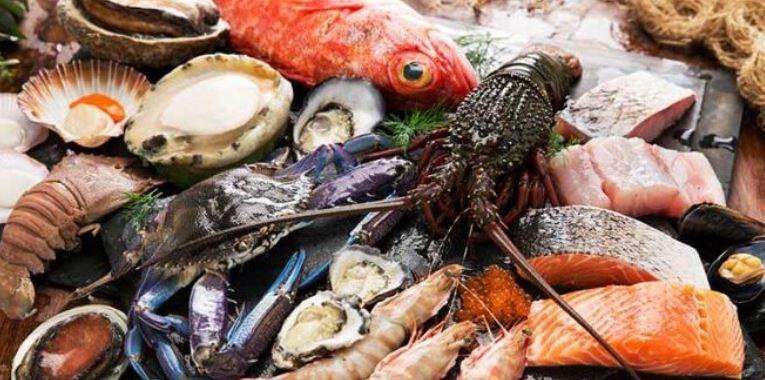 Pakistan’s Seafood exports to China surge by 24pc in 2025