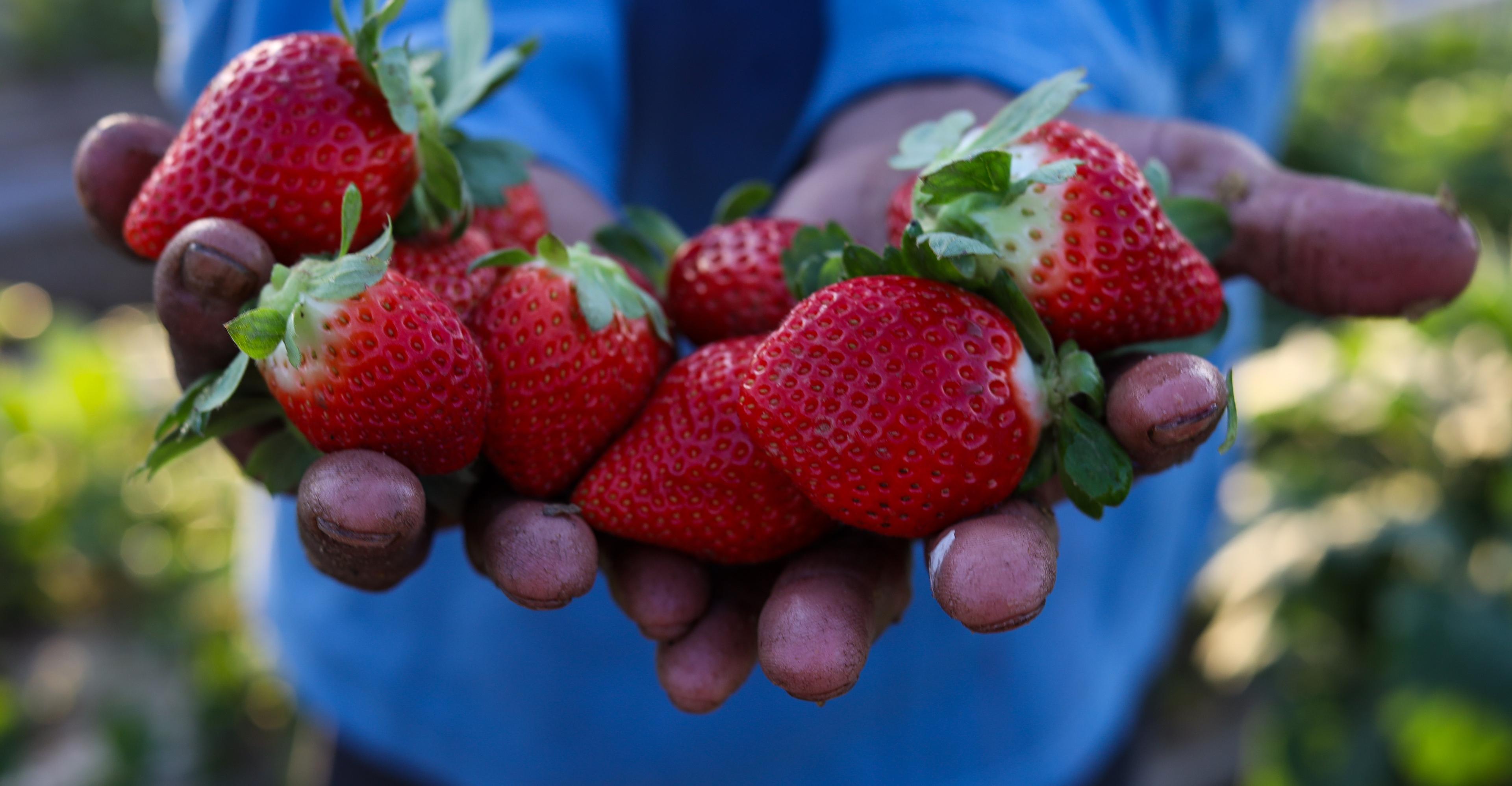 Want closer friendships? Find your “strawberry people”