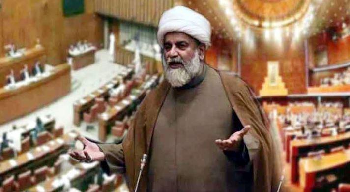 Raja Nasir Abbas appointed as Leader of Opposition in Senate