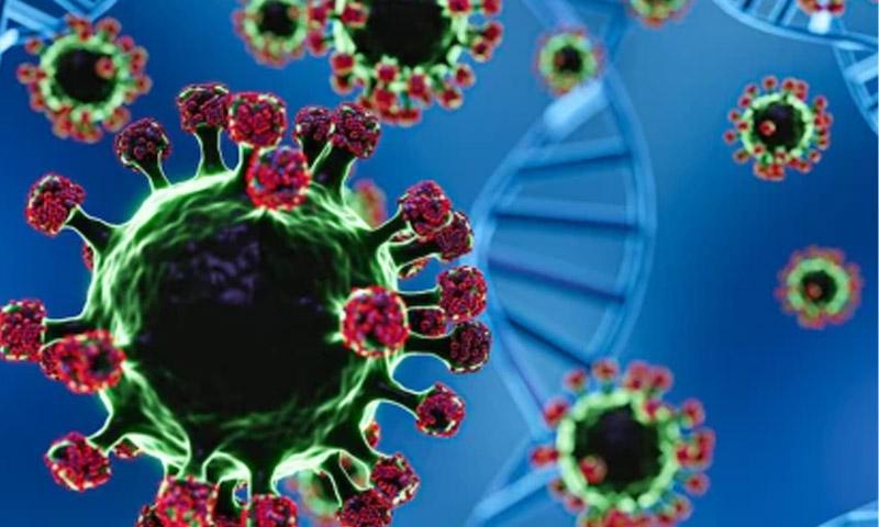 خیبرپختونخوا میں نیپا وائرس پھیلنے کا خدشہ،صوبائی محکمہ صحت ہائی الرٹ