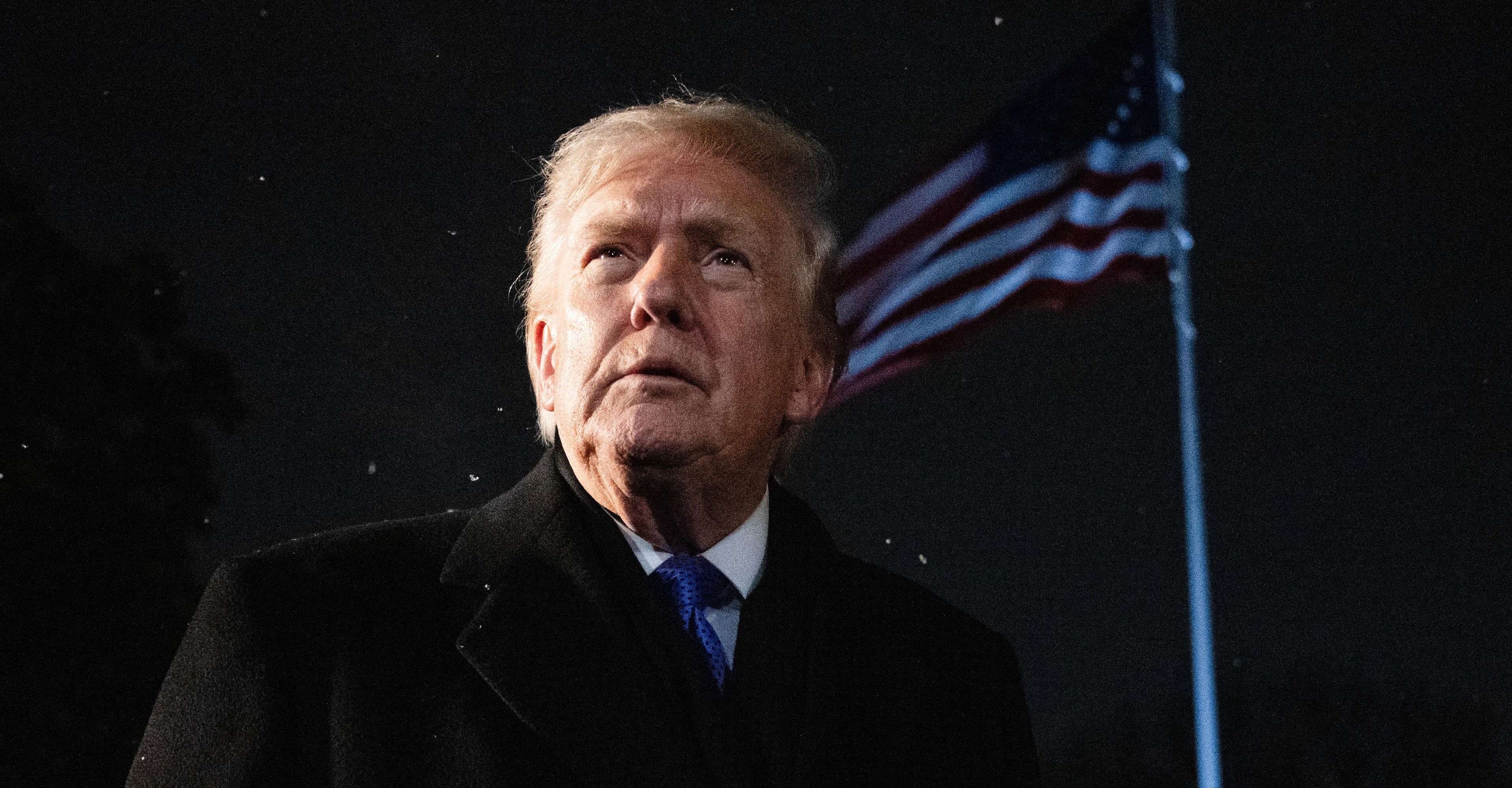 The Art of the Steal