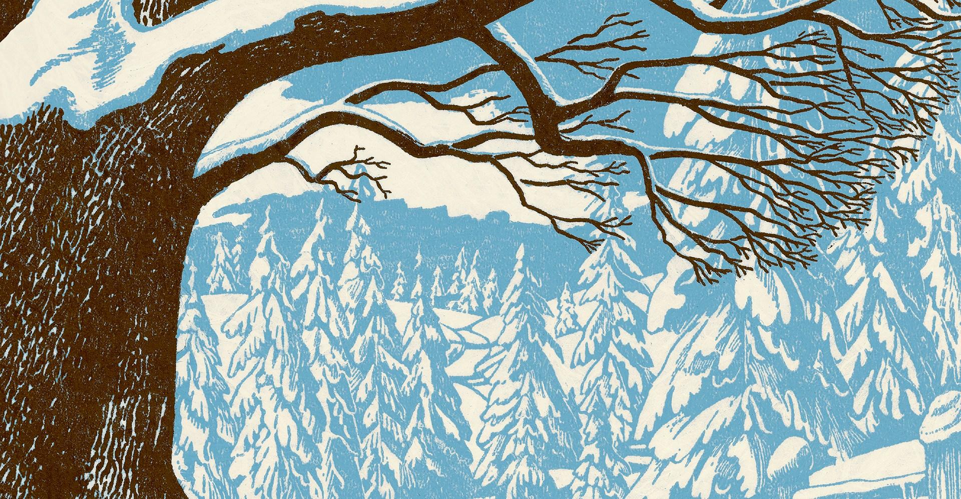 How to train yourself to enjoy winter