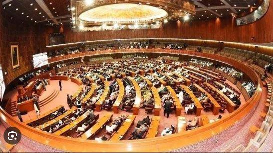 Senate passes resolution rejecting Israeli statement, reaffirms support for Palestine