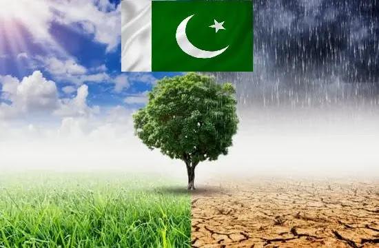 پاکستانی کسان اور موسمیاتی تبدیلی:سیلاب اور بے موسمی بارشوں کے اثرات