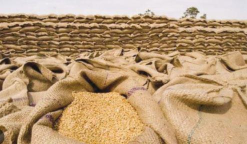 پنجاب کا گندم کےکاشتکاروں کو 6 ارب روپے کا باردانہ مفت دینے کا اعلان