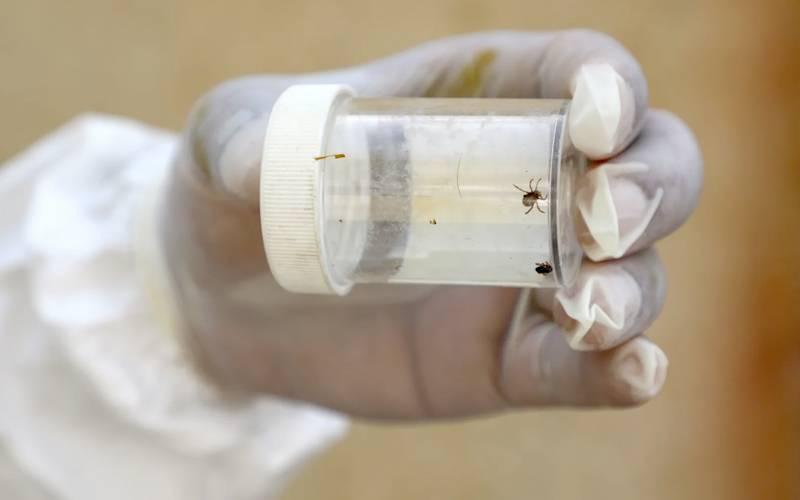 کانگو وائرس سے بچاؤ کیلئےخیبرپختونخوا کے ہسپتالوں میںالرٹ جاری