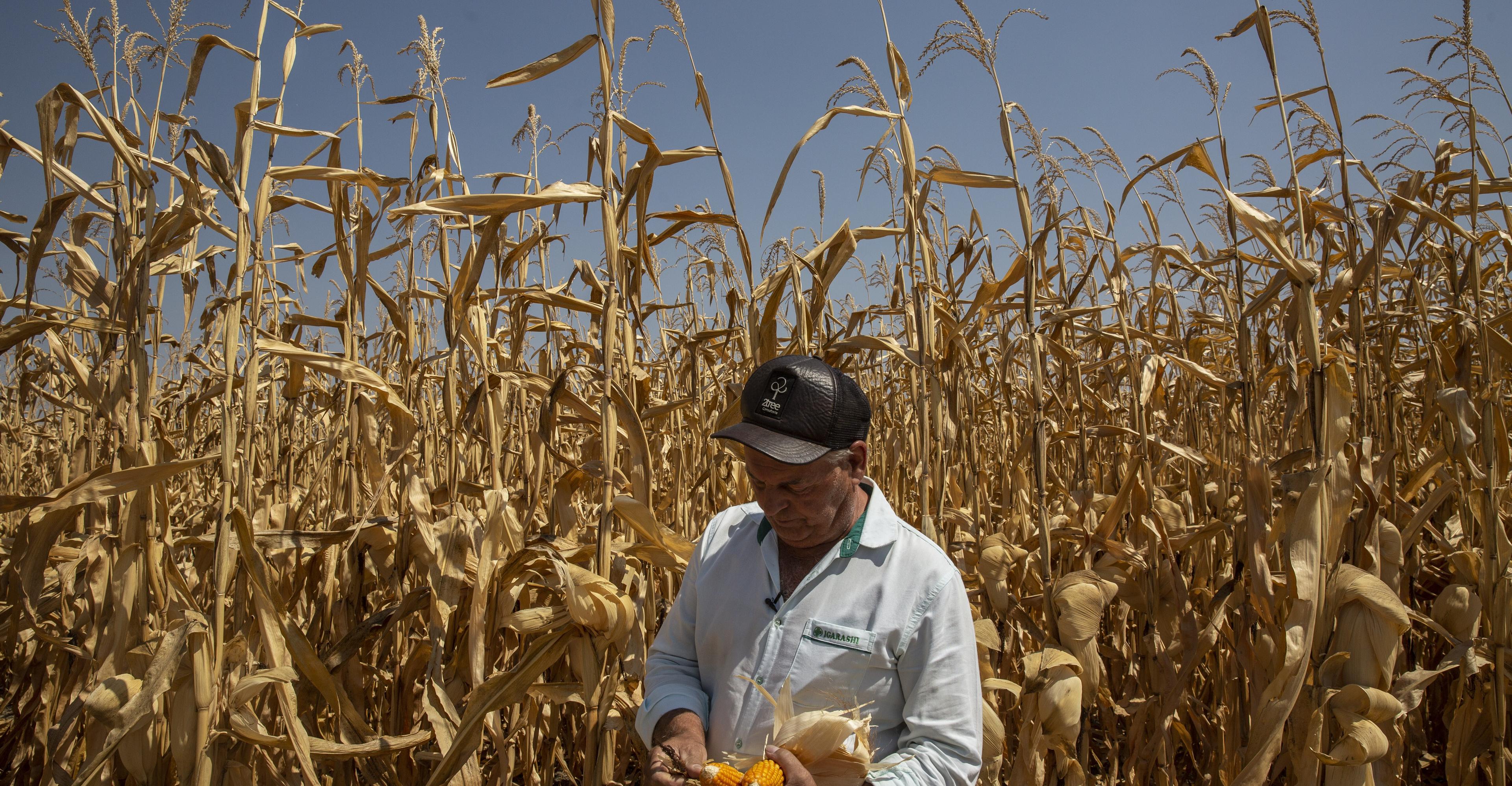 The climate crisis is coming for your groceries