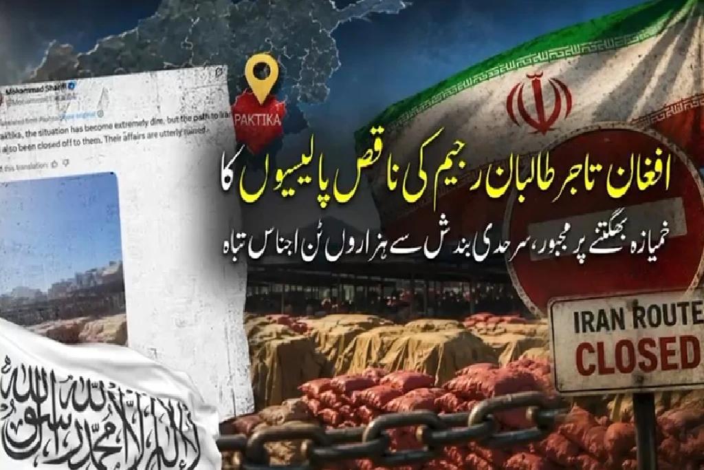 افغان تاجرطالبان رجیم کی ناقص پالیسیوں کا خمیازہ بھگتنے پر مجبور،ہزاروں ٹن اجناس خراب