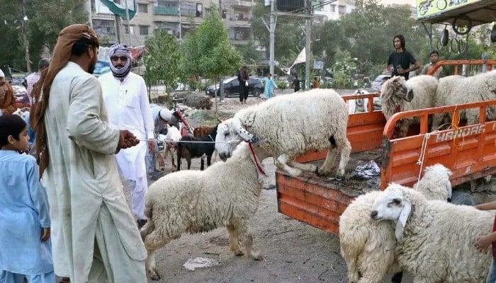Nation celebrates Eidul Azha with religious zeal