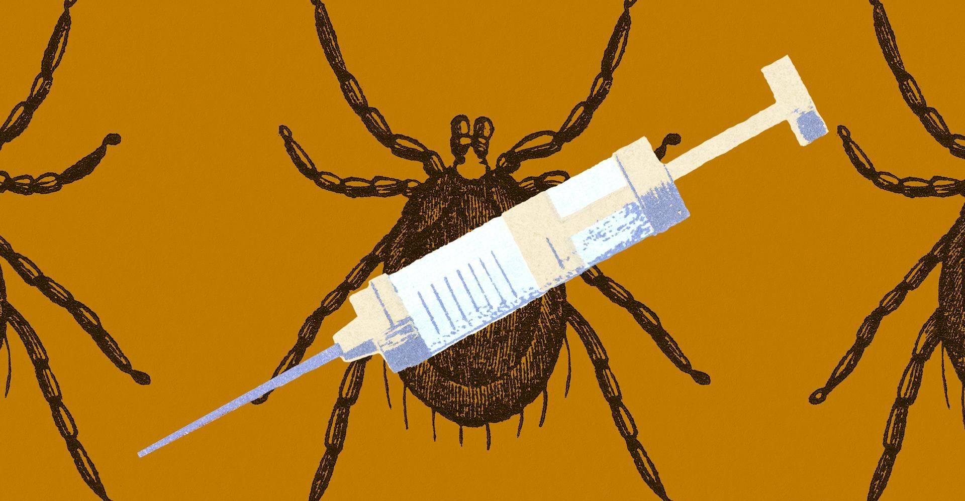 Ticks are spreading Lyme disease across America, but we can beat them. Here’s how.