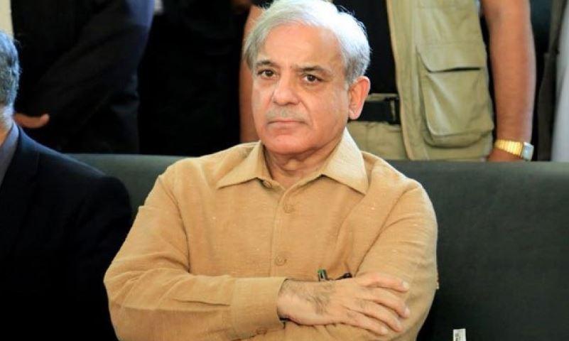 Shehbaz asks PM Imran to worry about worsening economy, not Opposition's meetings