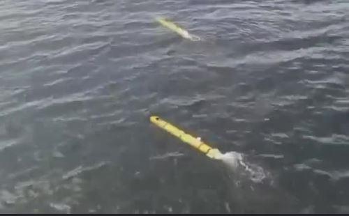 US says underwater drone 'malfunctioned' after Iran claimed capture