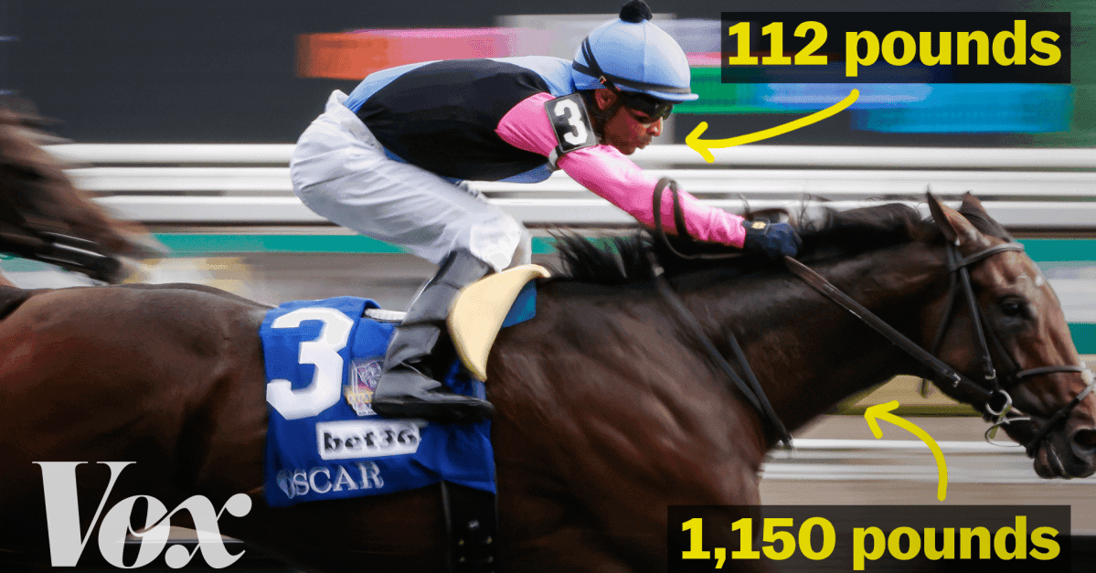 The two athletes in every horse race
