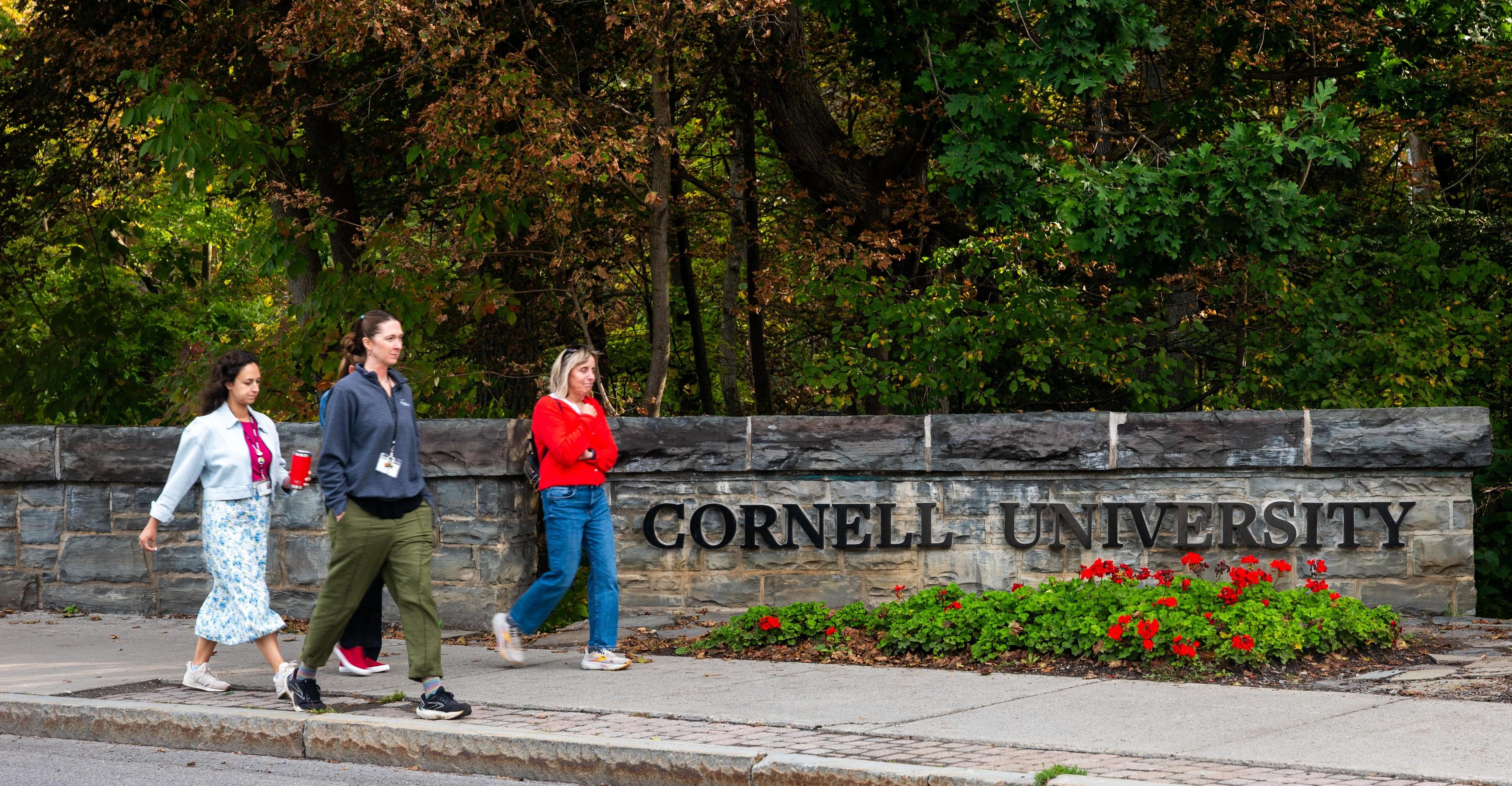 The Cornell case, explained