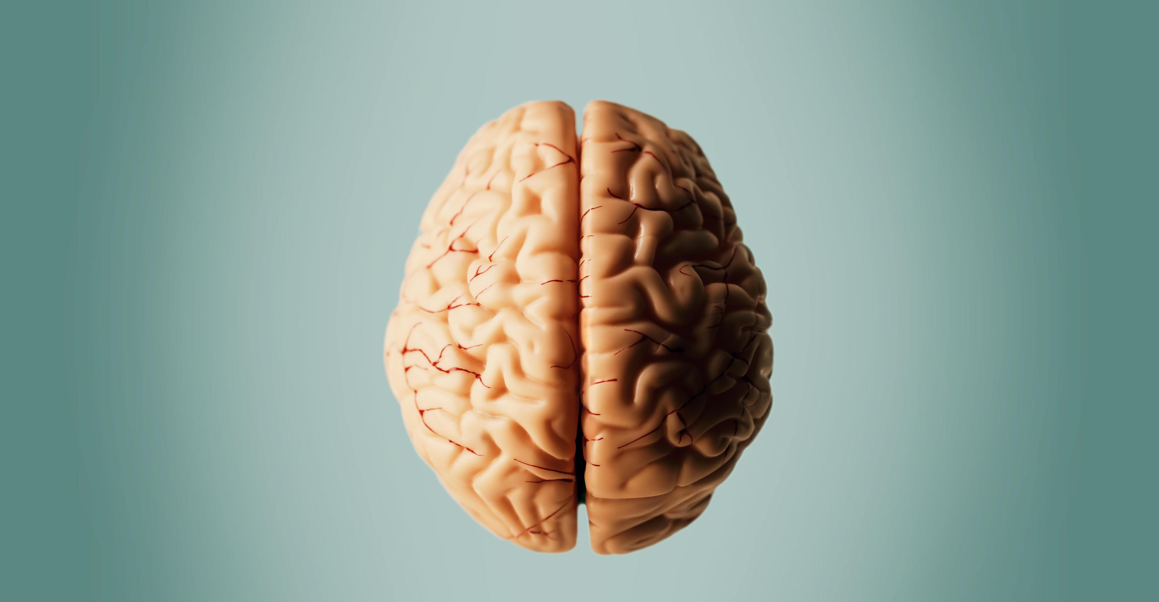 Is this the cure for Alzheimer’s?
