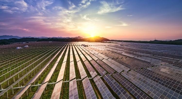 FinMin Aurangzeb reaffirms support for V20's climate finance agenda