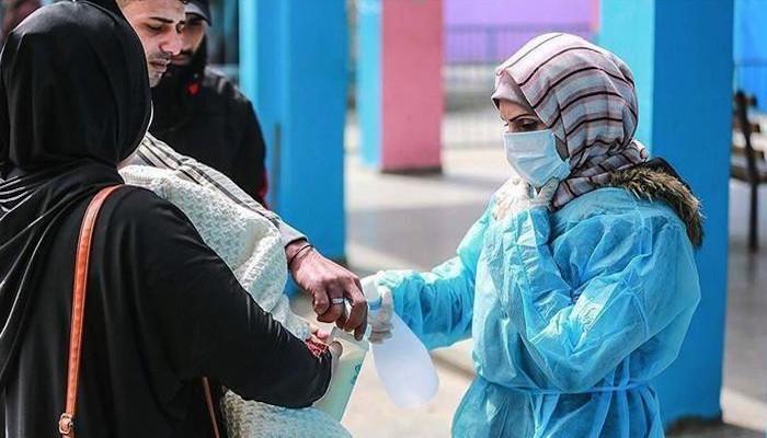 ملک میں کورونا سے 19 اموات ، 768 کیسز رپورٹ 