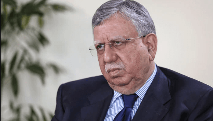 ملک میں اس وقت پٹرول کی قیمت 240 روپے لیٹر ہونی چاہئیے ، وزیر خزانہ 