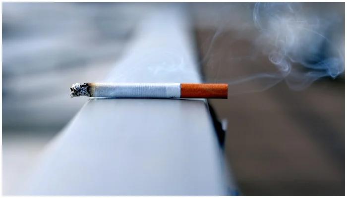 Denmark mulls cigarette sale ban for next generations