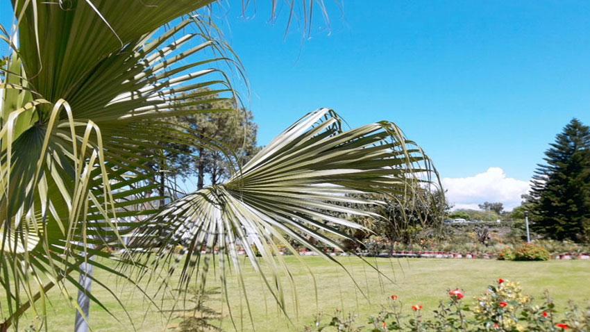 ملک کے بیشترعلاقوں میں آج موسم گرم اور خشک رہے گا 