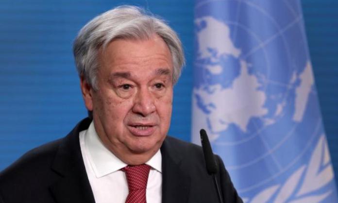 UN chief calls for ‘tangible and credible’ forest management