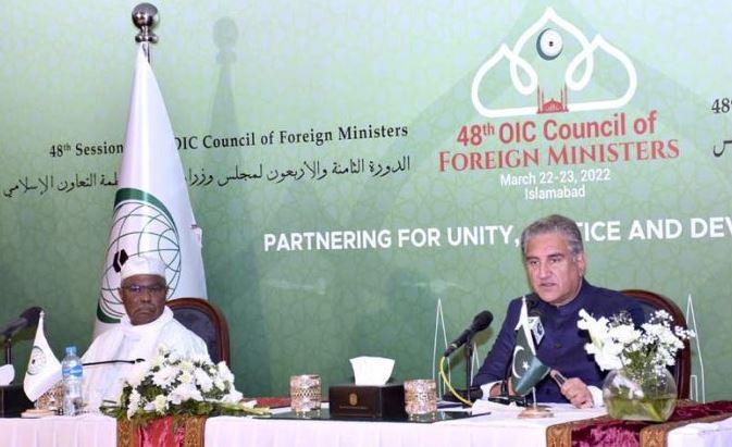 FM Qureshi says Pakistan, Africa to cooperate in diverse fields