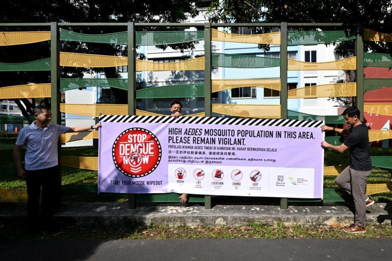 Singapore deploys new ‘purple dengue alert banner' 