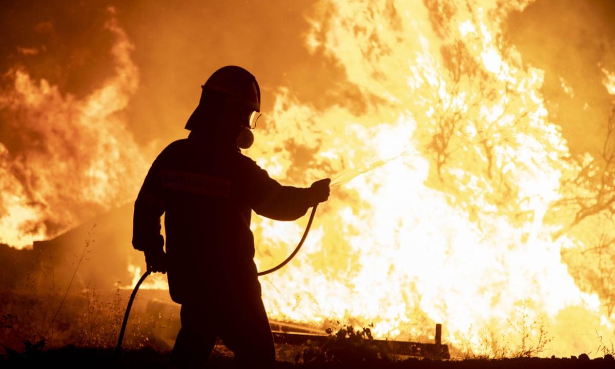 Thousands flee as wildfires devastate Greece and Turkey; firefighter loses life