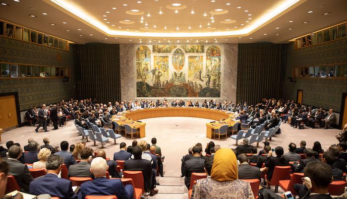 UNSC asks all countries to cooperate with Pakistan, China in penalising perpetrators of Dasu terrorist attack