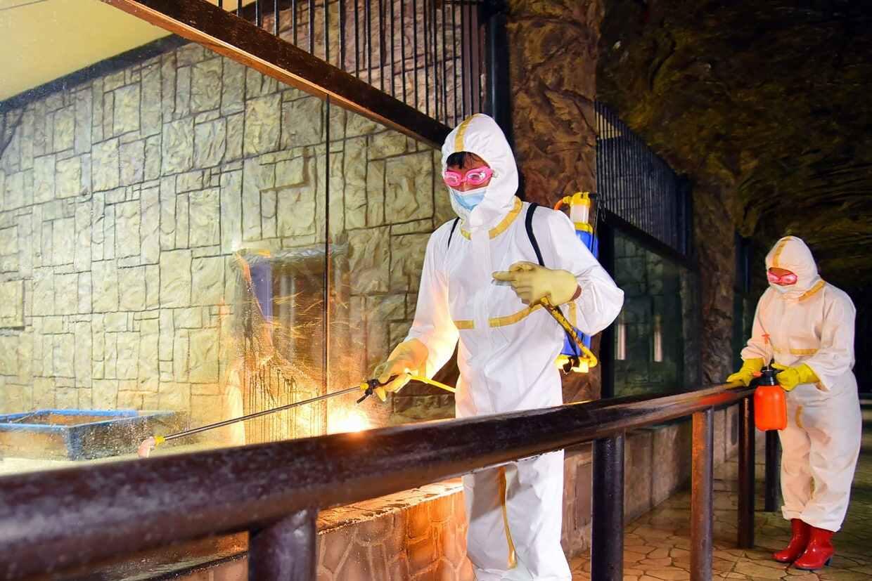 North Korea’s virus outbreak ‘getting worse, not better’: WHO 