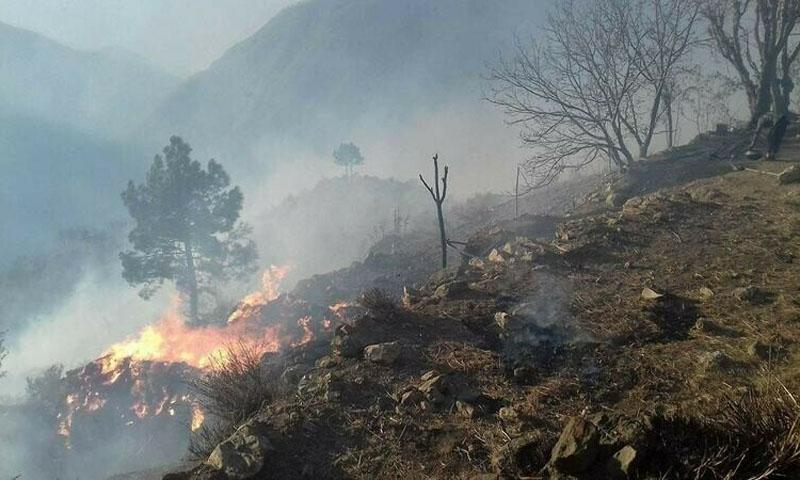 شانگلہ کے پہاڑوں میں آتشزدگی،4افراد جاں بحق