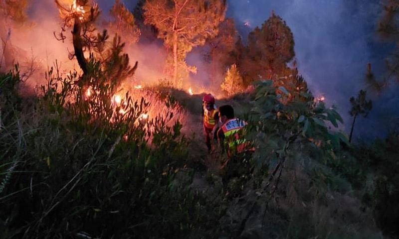 Four killed as wildfire rages across Shangla forests 