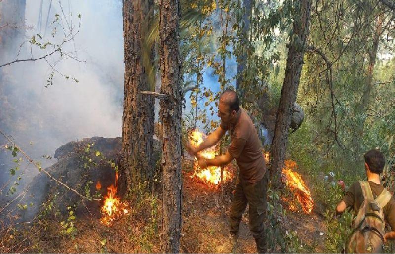 Latest fires break out in Swat's various forests