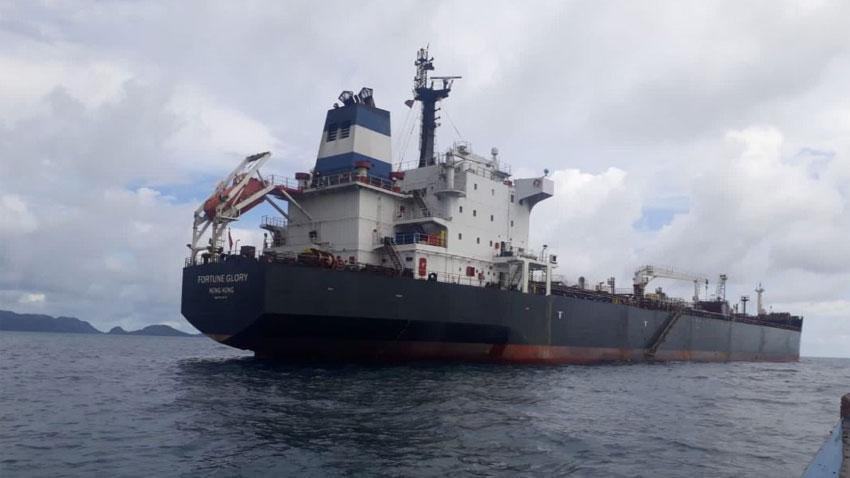 Pakistan gets 10 shiploads of edible oil from Indonesia, Malaysia