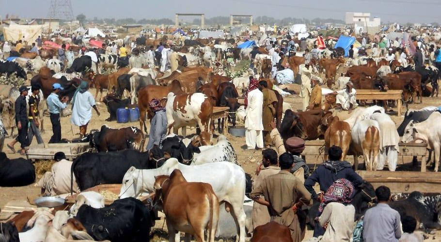 حکومت نے عید الاضحیٰ  کی چھٹیوں کا اعلان کر دیا