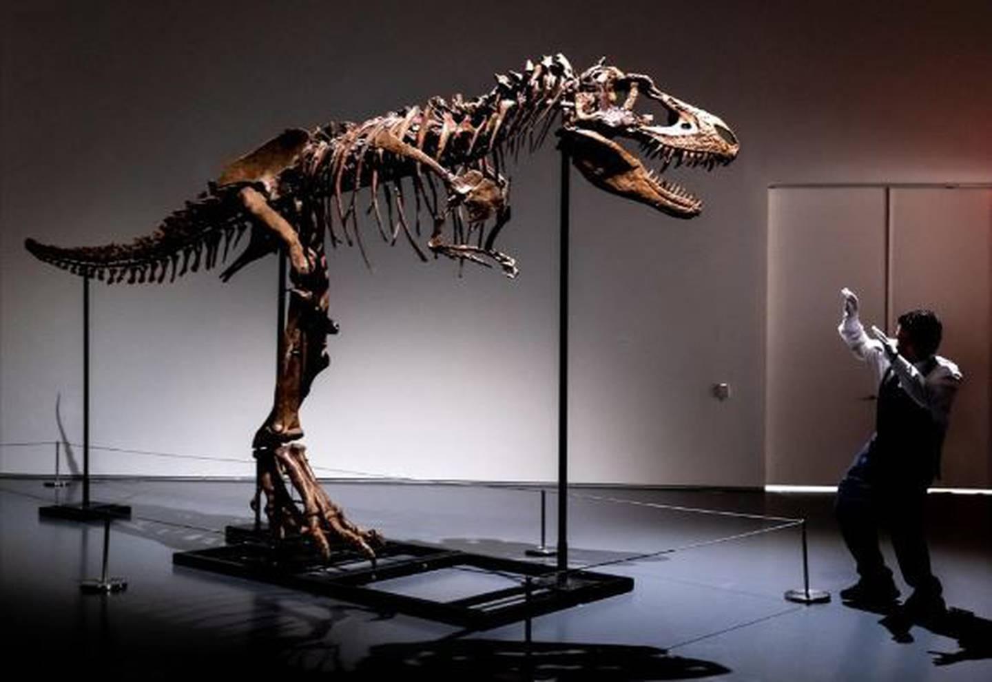 76 million-year-old dinosaur skeleton to be auctioned in NYC