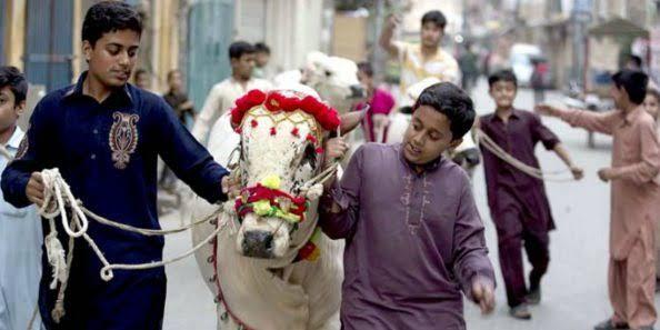 ملک بھر میں عید الاضحی مذہبی جوش و جذبے سےمنائی جا رہی ہے
