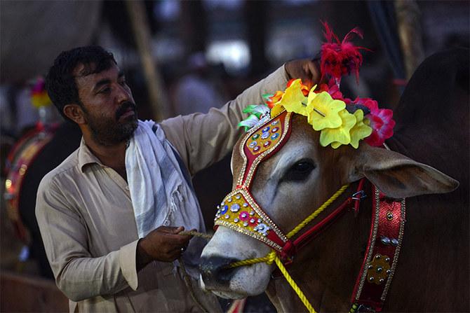 دینی مدارس اور فلاحی ادارے کھالوں کی قیمتوں میں اضافے پر خوش