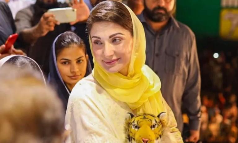 Maryam Nawaz tests positive for Covid-19 again