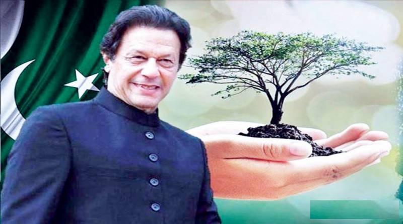 PM to inaugurate world's biggest Miyawaki urban forest in Lahore