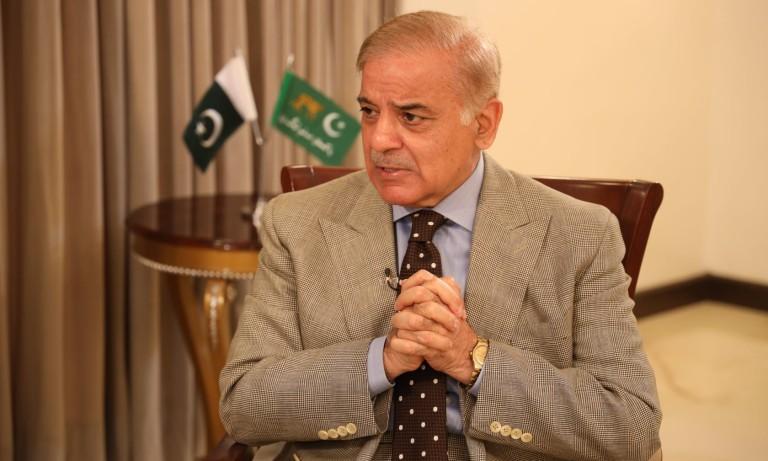 All state organs should act within domains stipulated by constitution: PM Shehbaz Sharif 