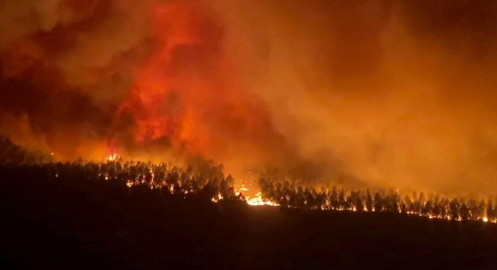 Thousands evacuate homes as wildfires rage in France