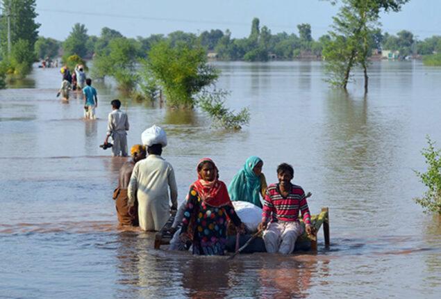 Torrential rains, flash floods in Punjab claim 151 lives: PDMA