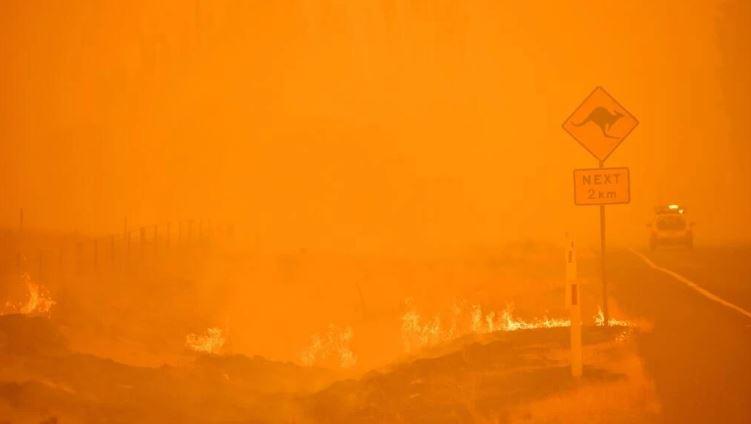 Australia’s ‘Black Summer’ fires affected ozone layer: study