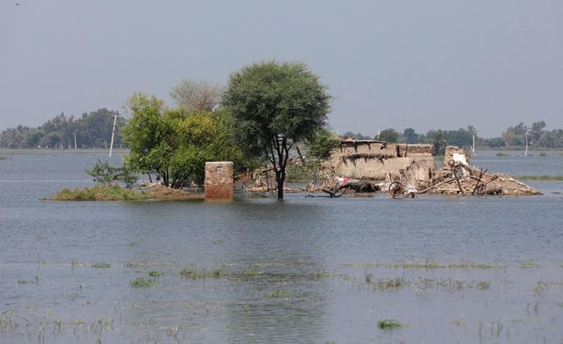 Floods in Pakistan leave 1,162 dead, 3,500 injured: NDMA