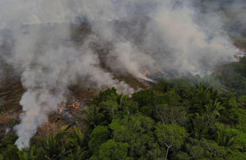 Fires in Brazil's Amazon forest surge in August to its peak since 2010